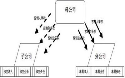 2019年注册新公司中,子公司和分
