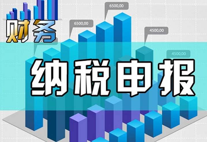 纳税申报 纳税申报